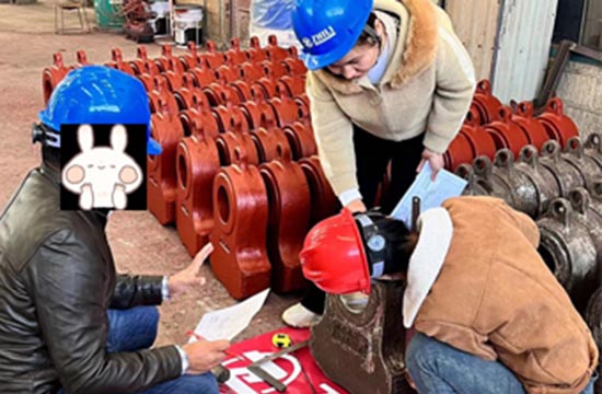 Pemasok pengecoran tahan aus-Zhili menyambut pelanggan Pakistan untuk memeriksa dan mengunjungi